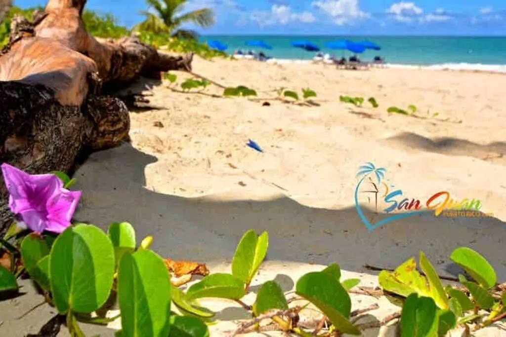 Private Apartmento Airport 7 Minutes Y De La Playa Carolina 0*,  Porto Rico
